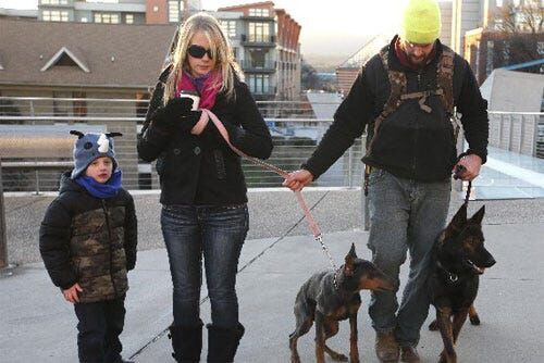 Extreme cold means extra care for critters in the greater Chattanooga area