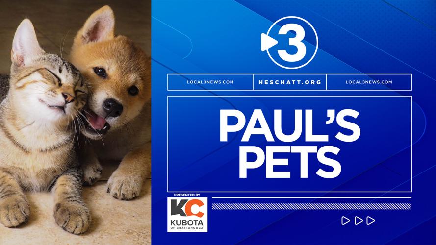 2022 Paul's pets