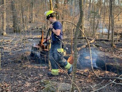 woods fire