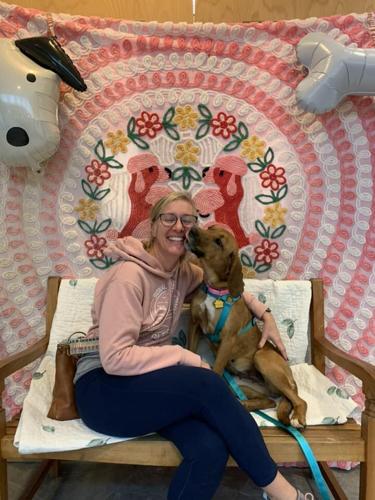 missing dog mac found