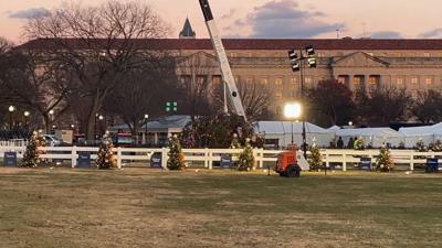 National Christmas tree topples in gusty DC winds
