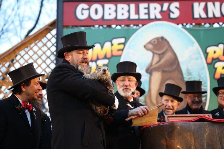Groundhog day